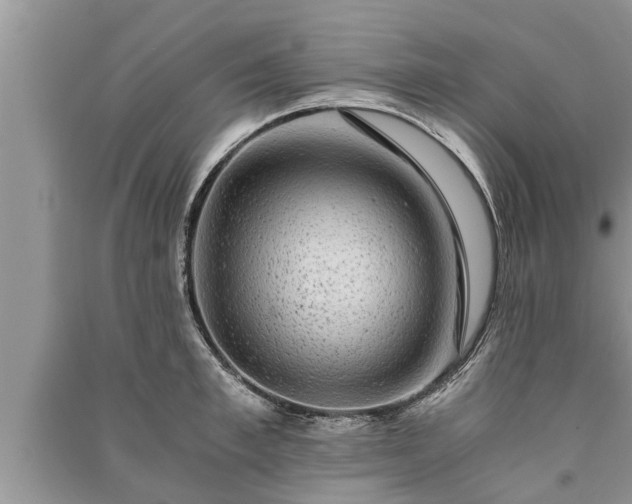 X0000091060997200708131126