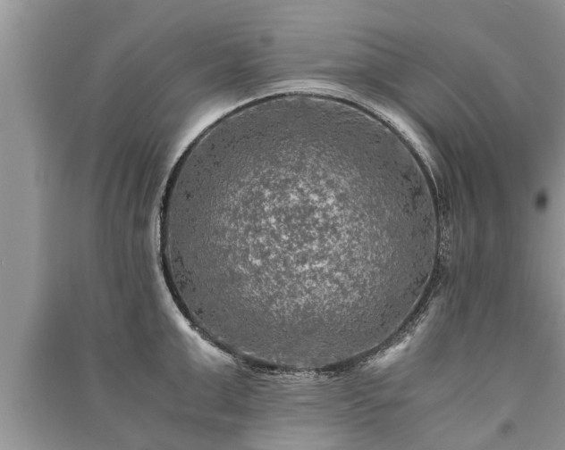 X0000091060999200708131126