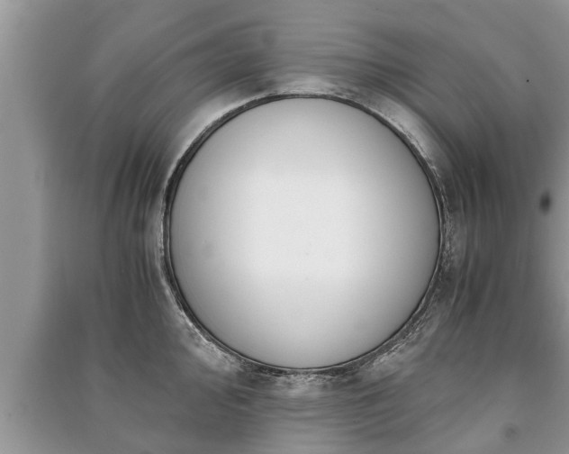 X0000091061000200708131125
