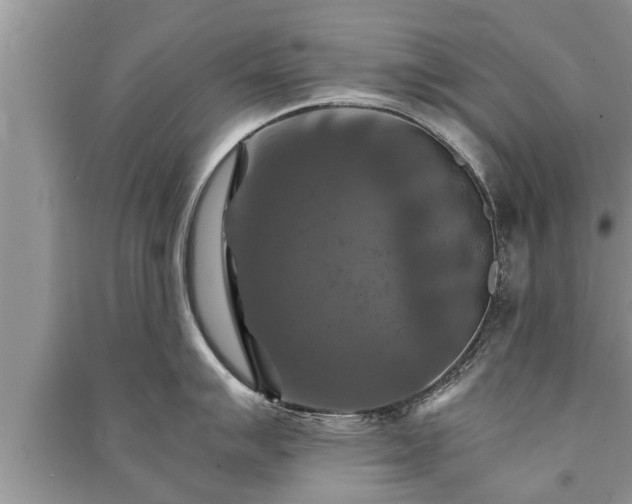 X0000091061007200708131125