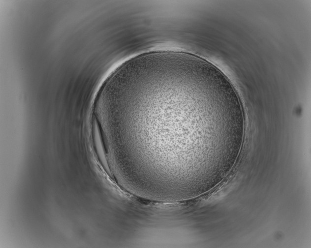X0000091061008200708131125