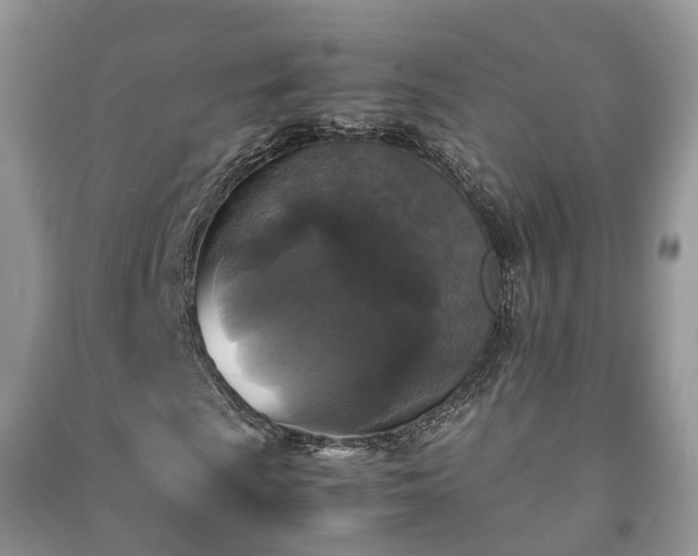 X0000091061009200708131125