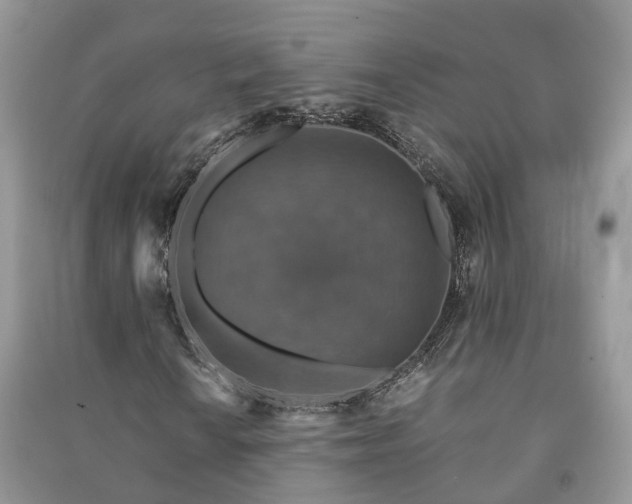 X0000091061010200708131125