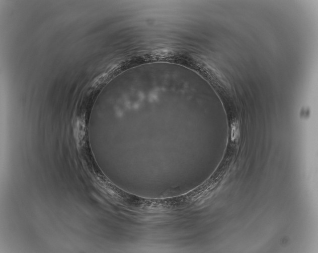 X0000091061011200708131125
