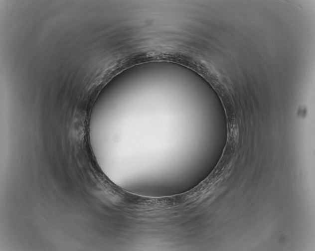 X0000091061012200708131125