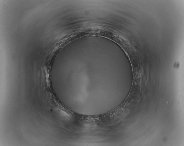 X0000091061013200708131125