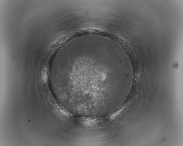 X0000091061014200708131125