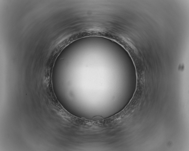 X0000091061015200708131125
