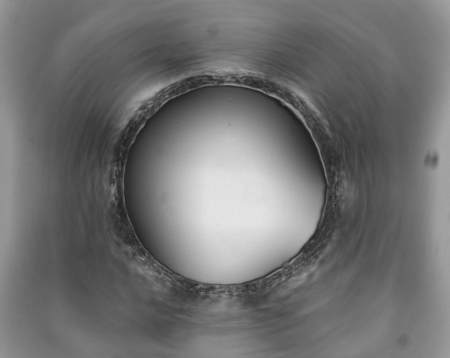 X0000091061016200708131125