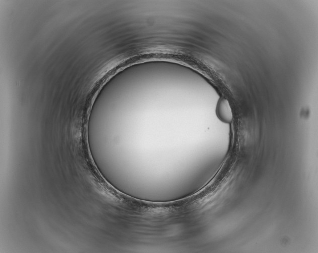 X0000091061017200708131125