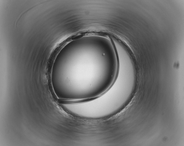 X0000091061018200708131125
