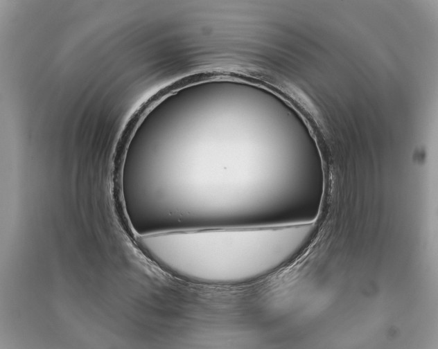 X0000091061020200708131125