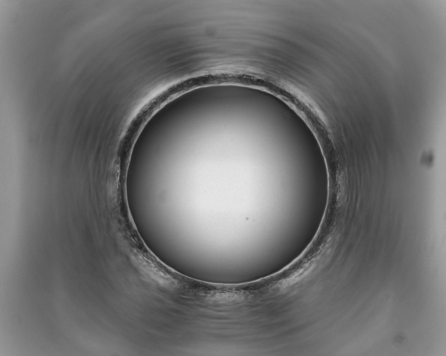 X0000091061021200708131125