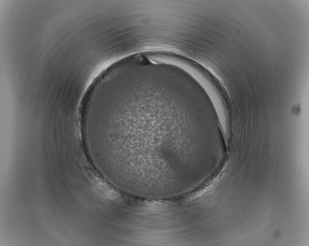 X0000091061022200708131125