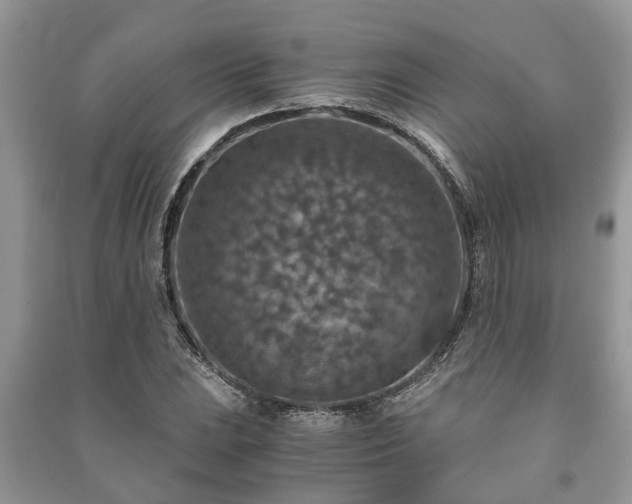 X0000091061023200708131125