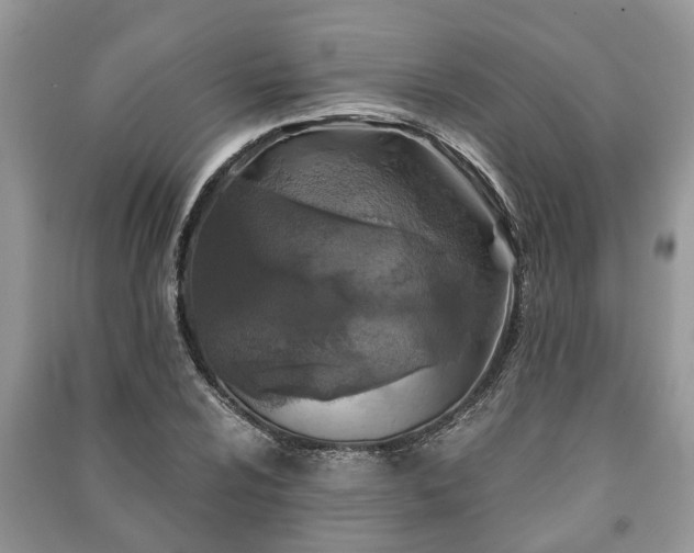 X0000091061024200708131125