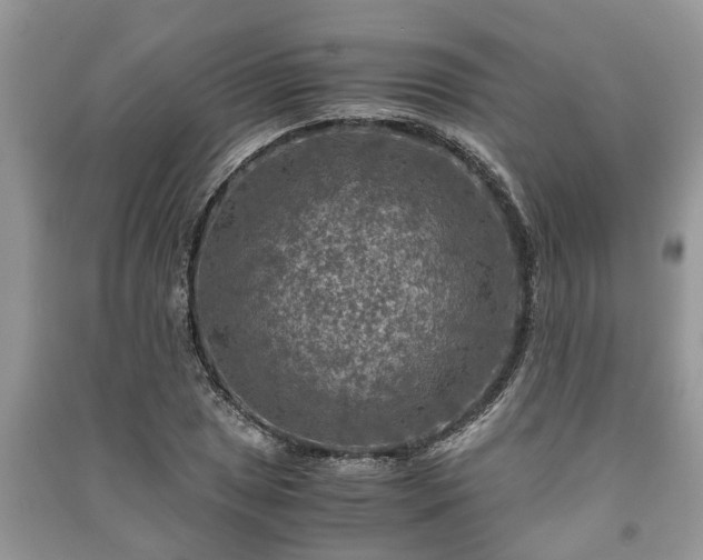 X0000091061025200708131125