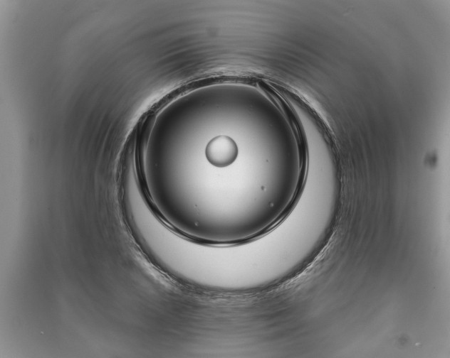 X0000091061026200708131125