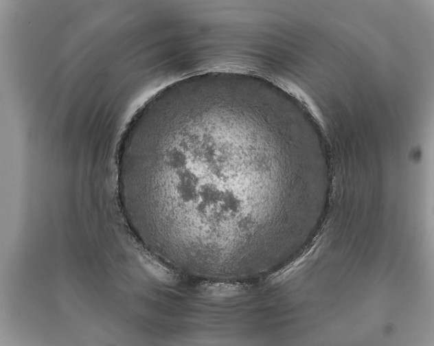X0000091061027200708131125