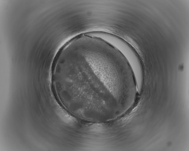 X0000091061028200708131125