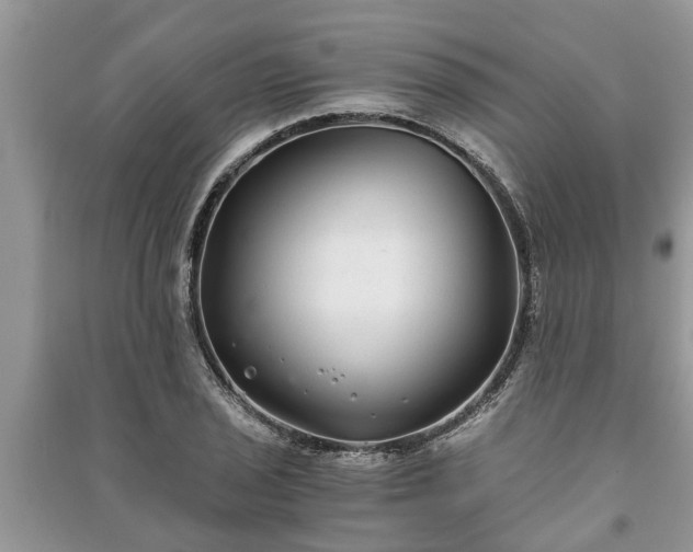 X0000091061029200708131125