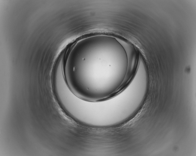 X0000091061030200708131125