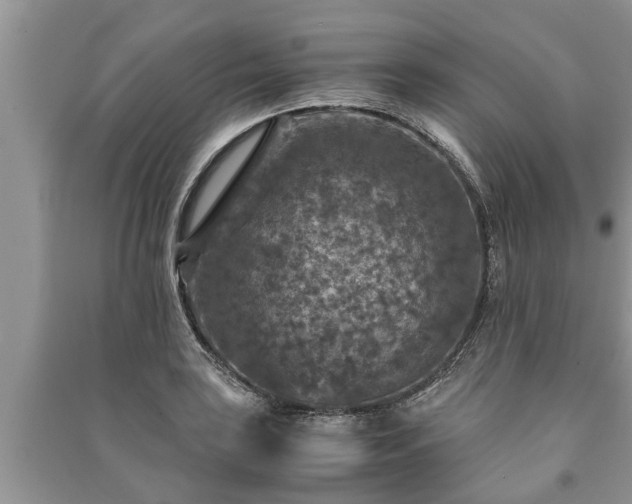 X0000091061035200708131125