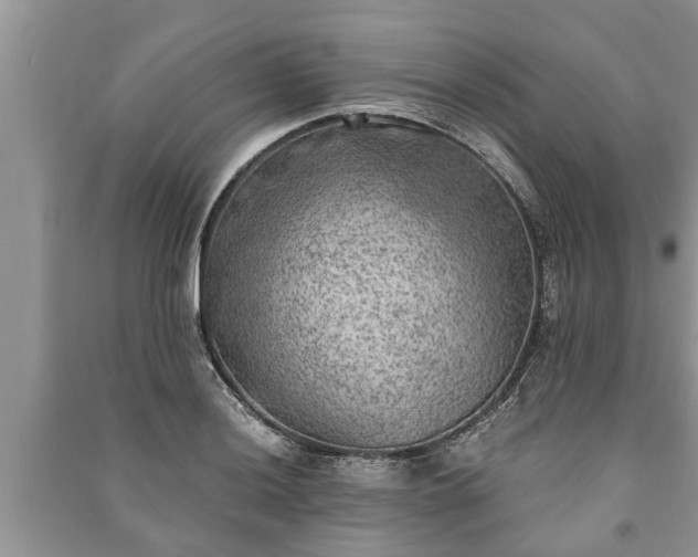 X0000091061036200708131125