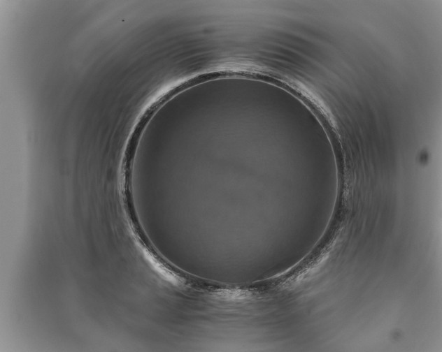 X0000091061037200708131125