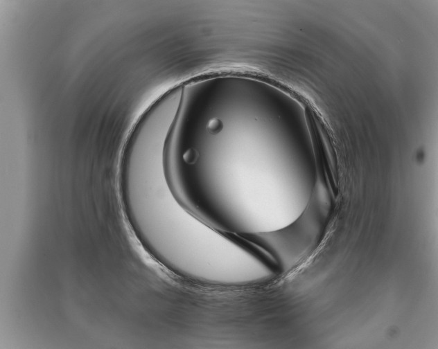 X0000091061038200708131125