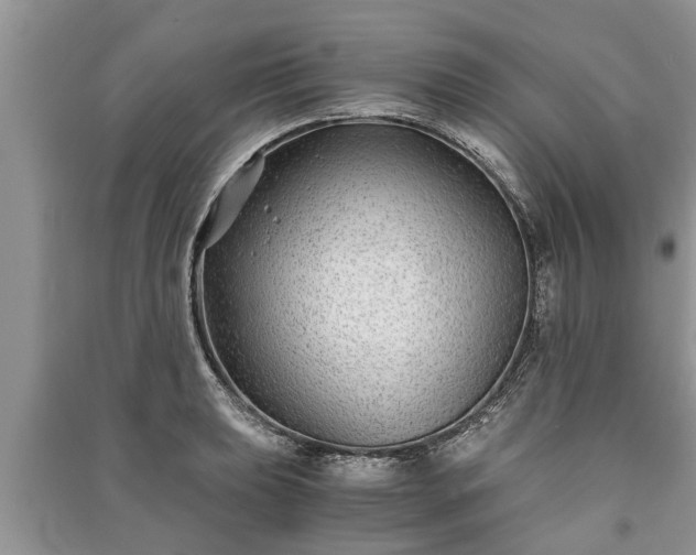 X0000091061039200708131125