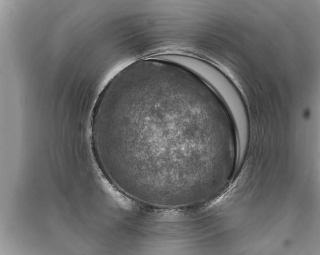 X0000091061042200708131125