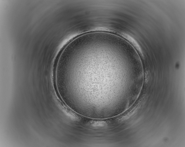 X0000091061043200708131125