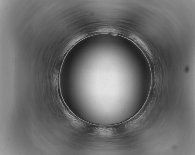 X0000091061049200708131125
