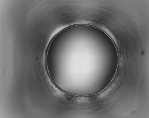 X0000091061053200708131125