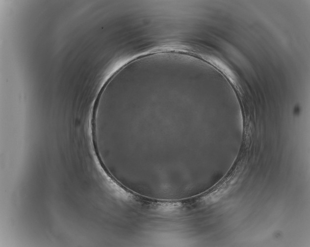 X0000091061055200708131125