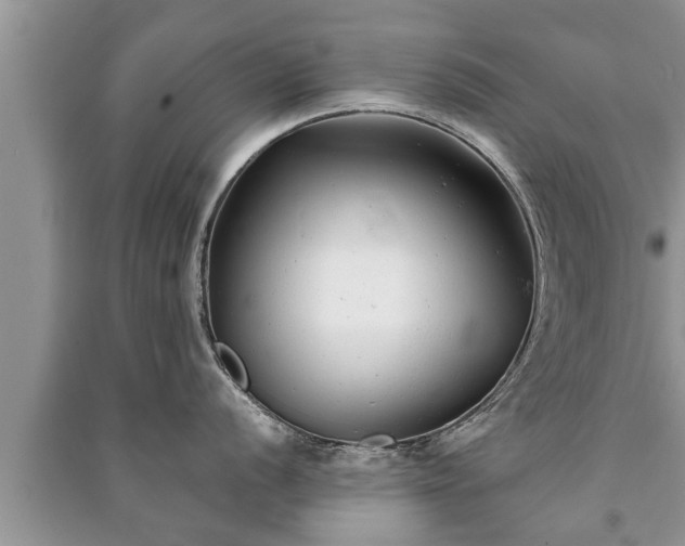 X0000091061056200708131125
