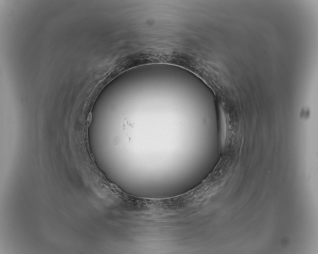 X0000091061057200708131125