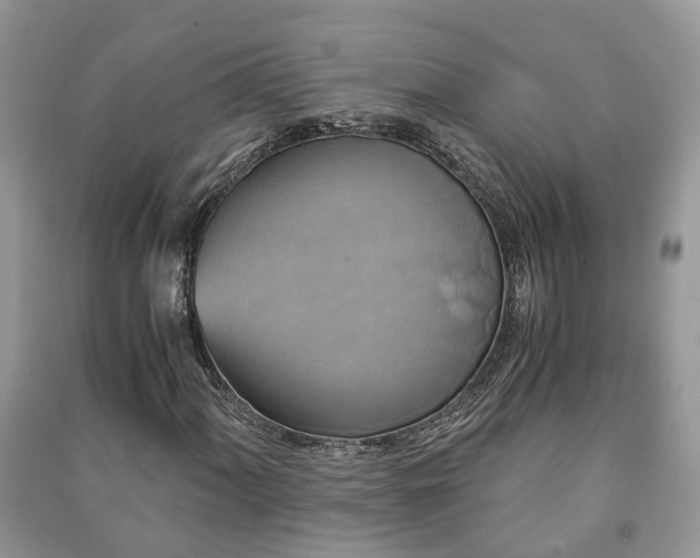 X0000091061060200708131125