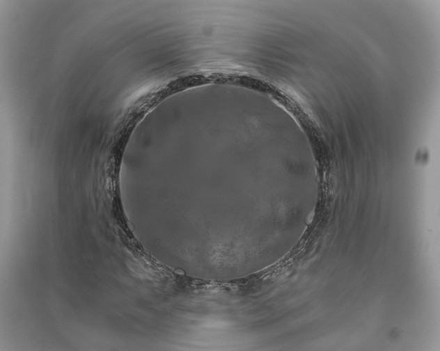 X0000091061063200708131125