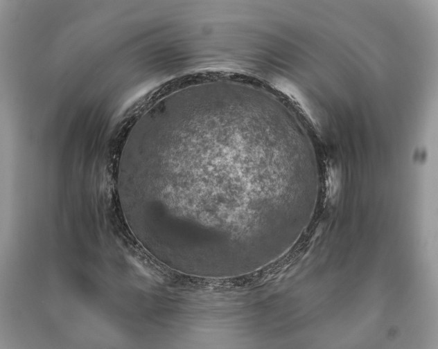 X0000091061064200708131125
