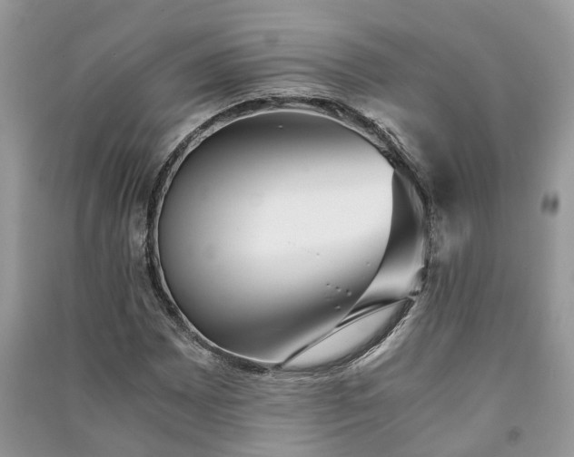 X0000091061065200708131125
