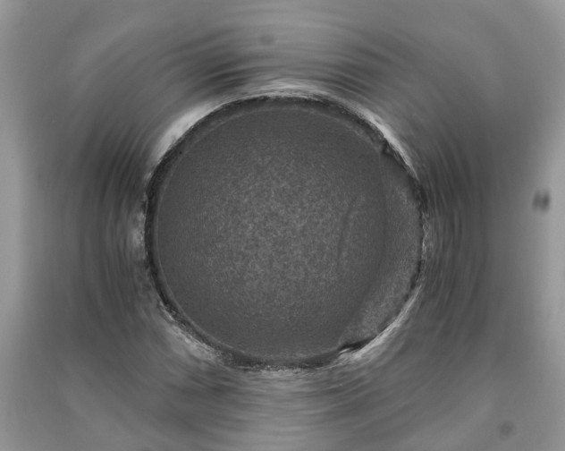 X0000091061066200708131125