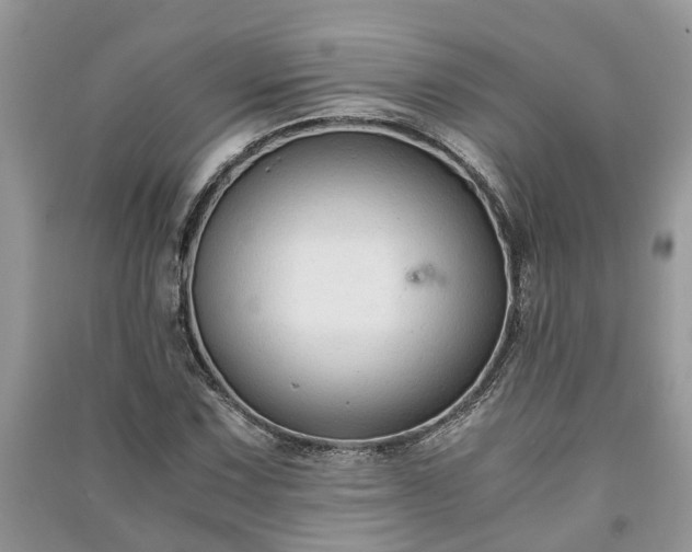 X0000091061067200708131125