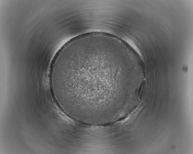 X0000091061068200708131125