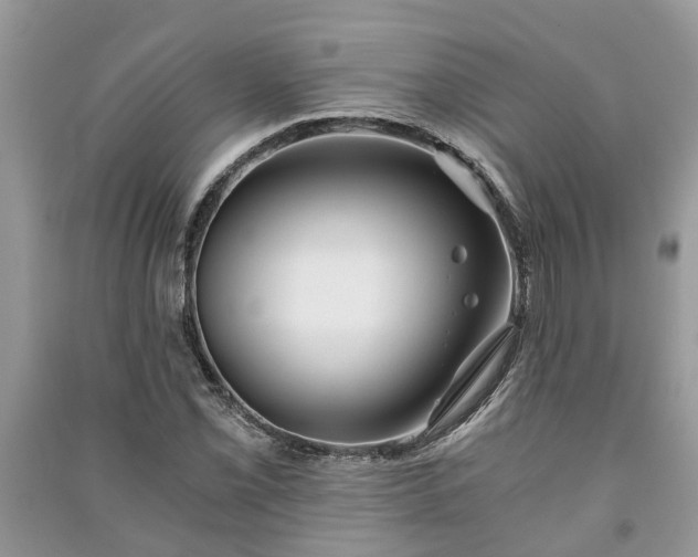 X0000091061069200708131125