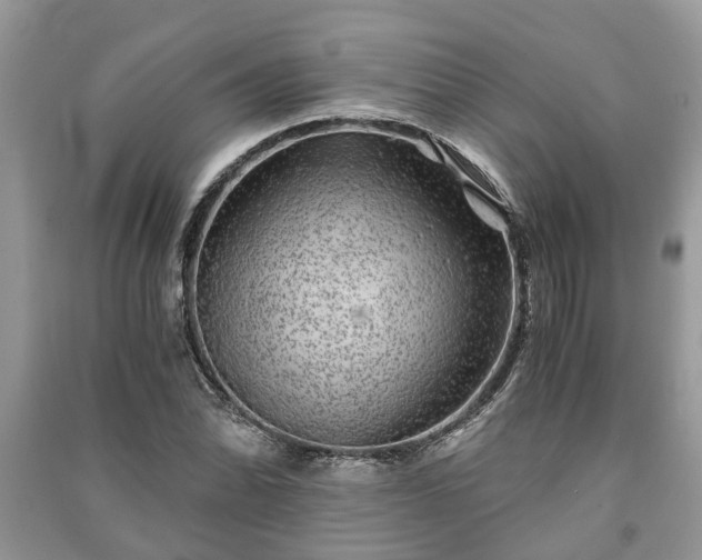 X0000091061070200708131125