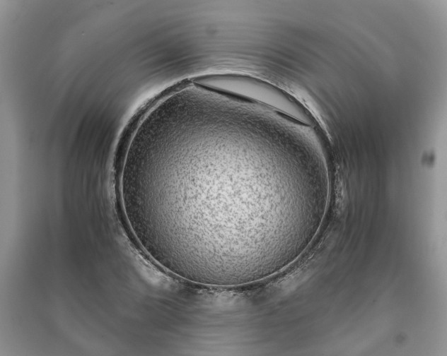 X0000091061072200708131124