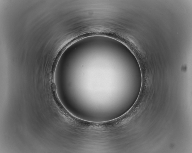 X0000091061073200708131124