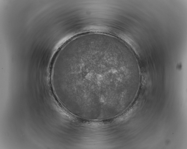 X0000091061074200708131124